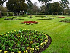 �x���[�Z���g�G�h�}���Y